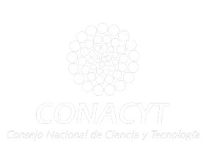 Consejo Nacional de Ciencia y Tecnología
